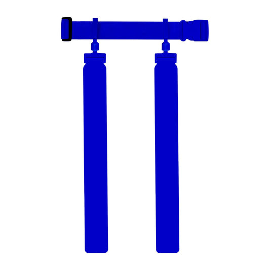 CHD blue adult solid flag belt set on white background, normalized height